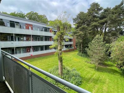 Communal Gardens